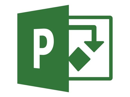  Microsoft Project Standard 2019 PL Win