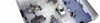 DOSCH 3D: 3D-Scenes - Car Service 01 - Plus